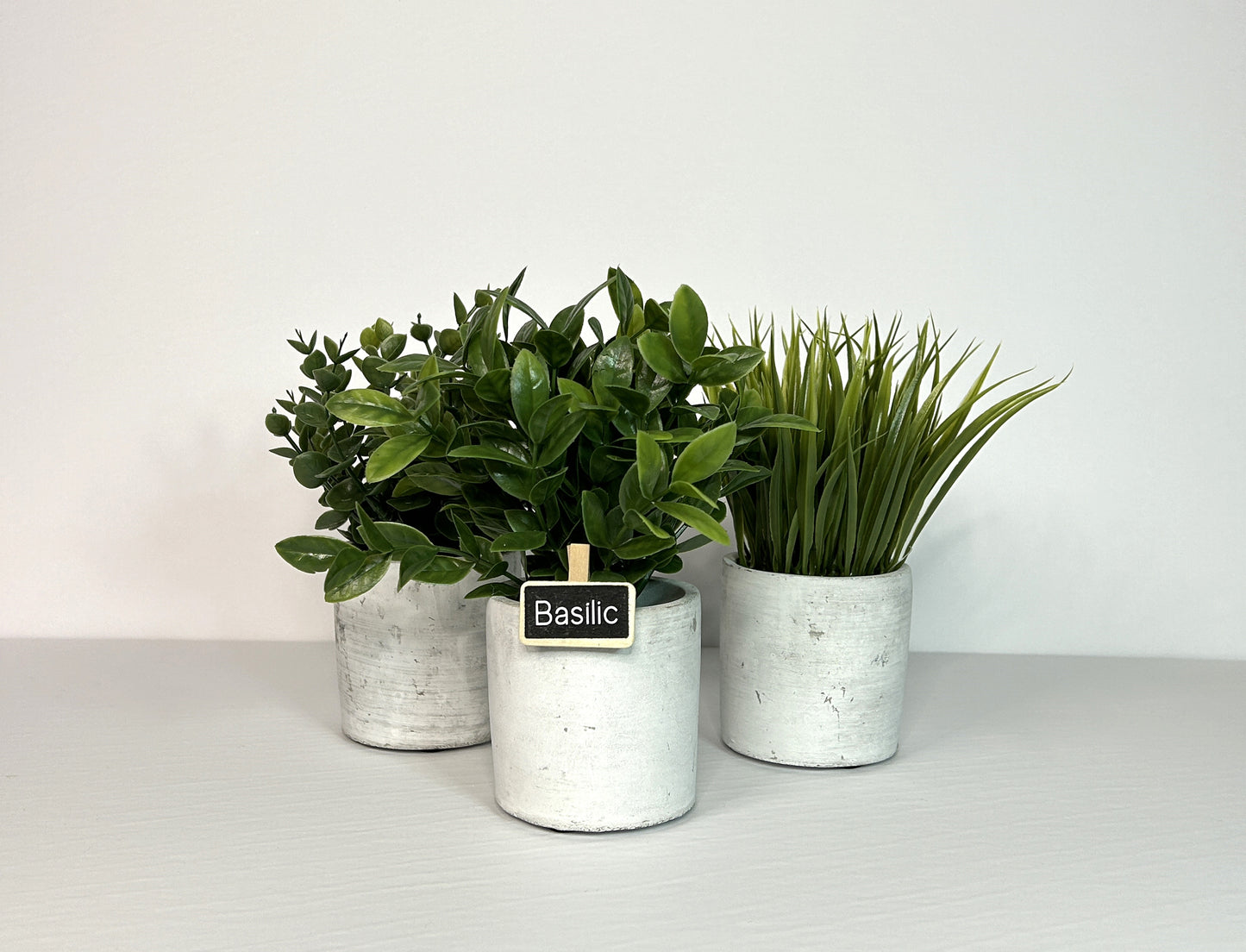 Ardoises à pince pour les fines herbes