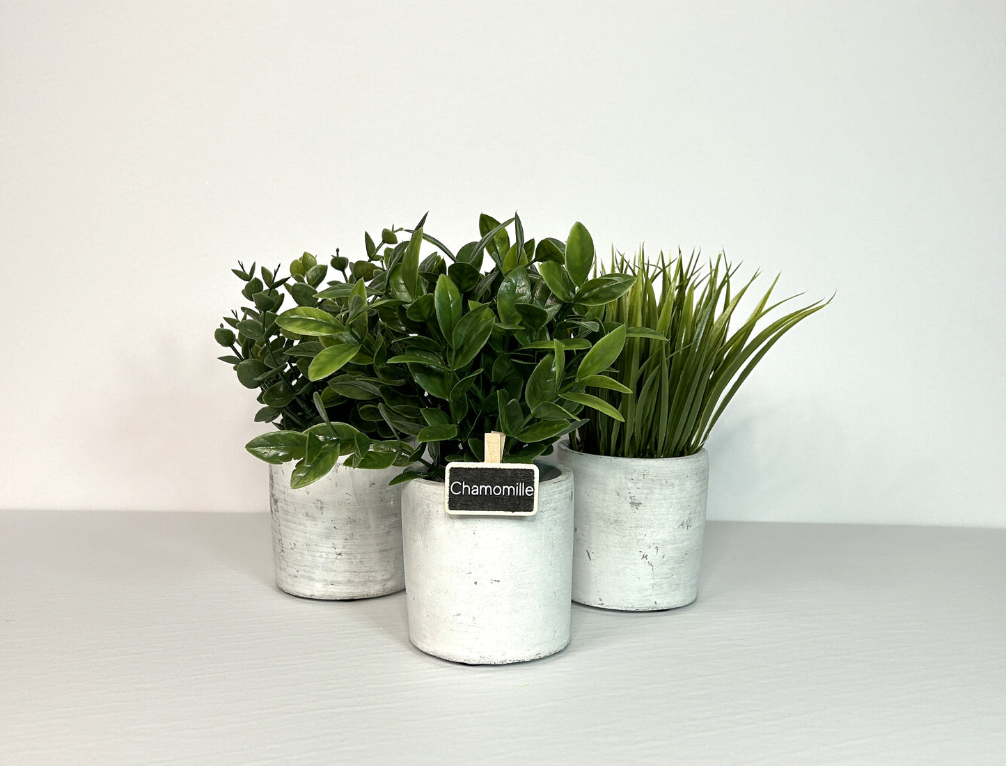 Ardoises à pince pour les fines herbes