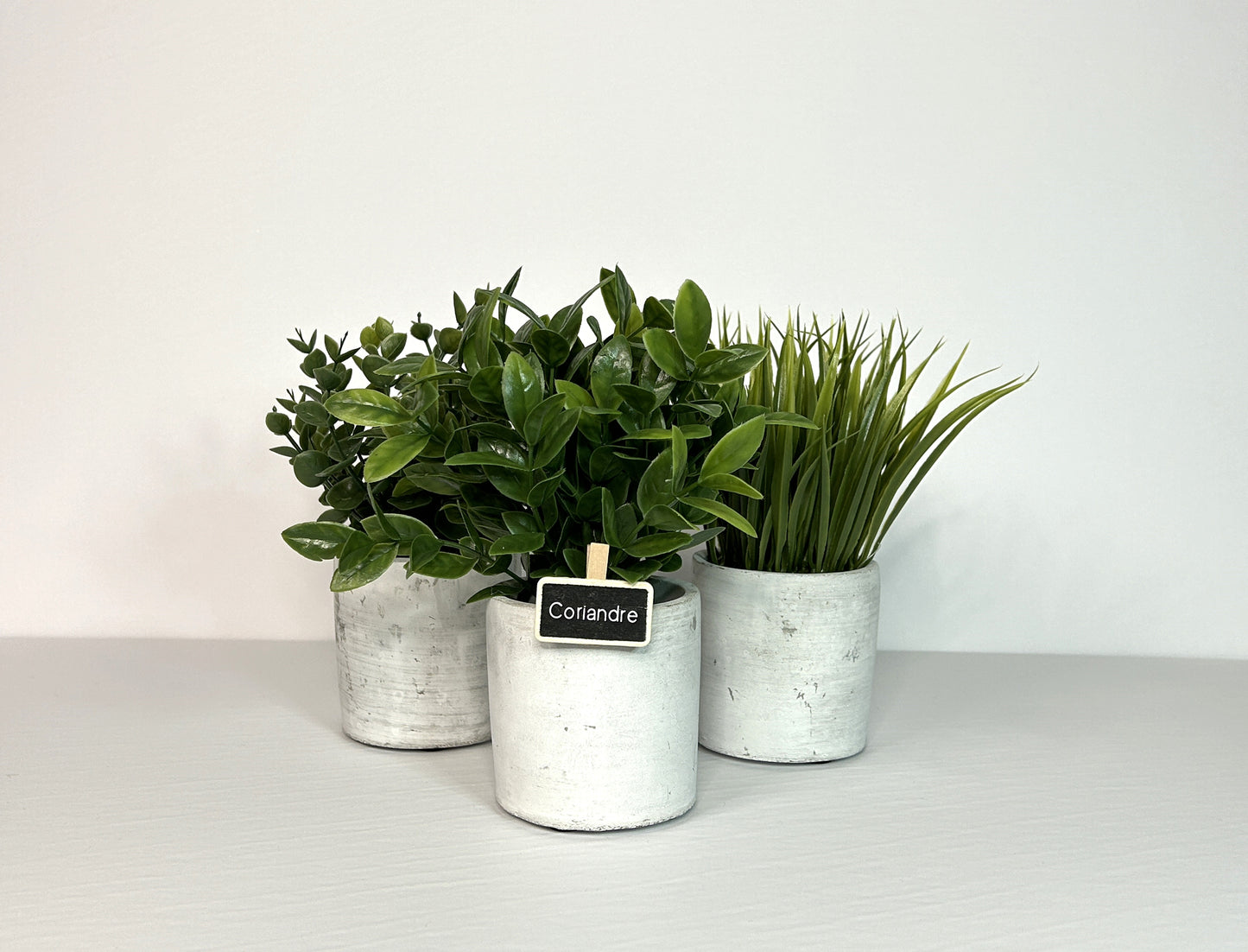 Ardoises à pince pour les fines herbes