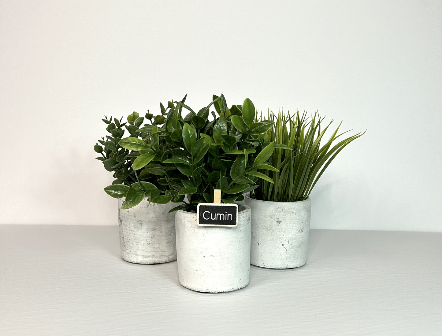 Ardoises à pince pour les fines herbes