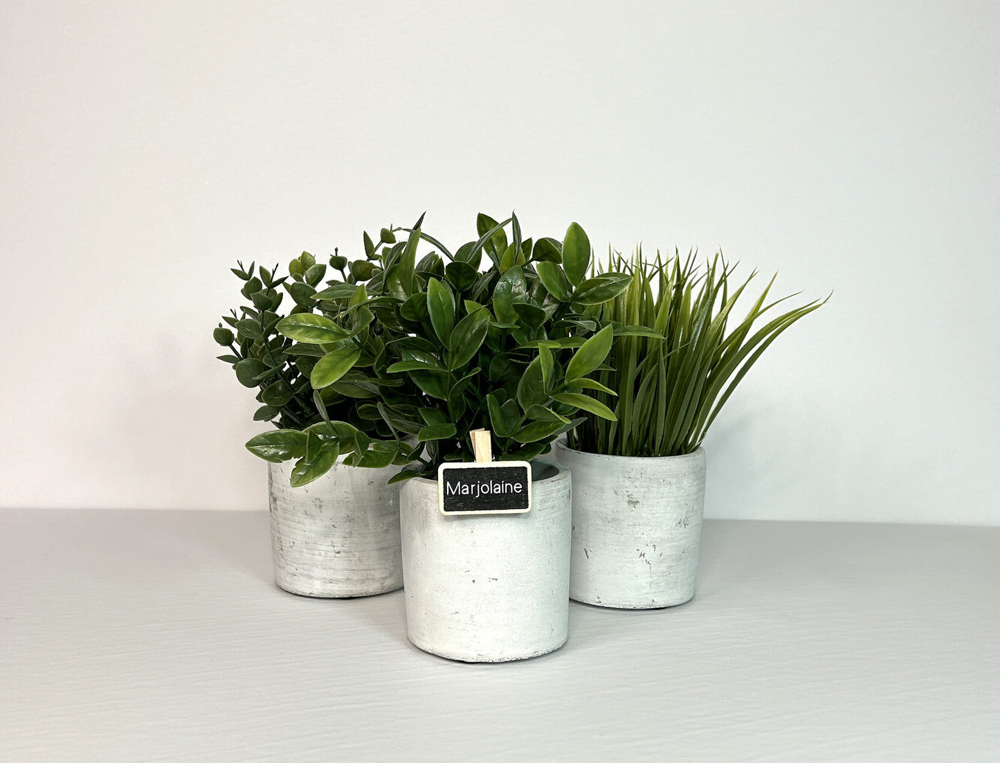 Ardoises à pince pour les fines herbes