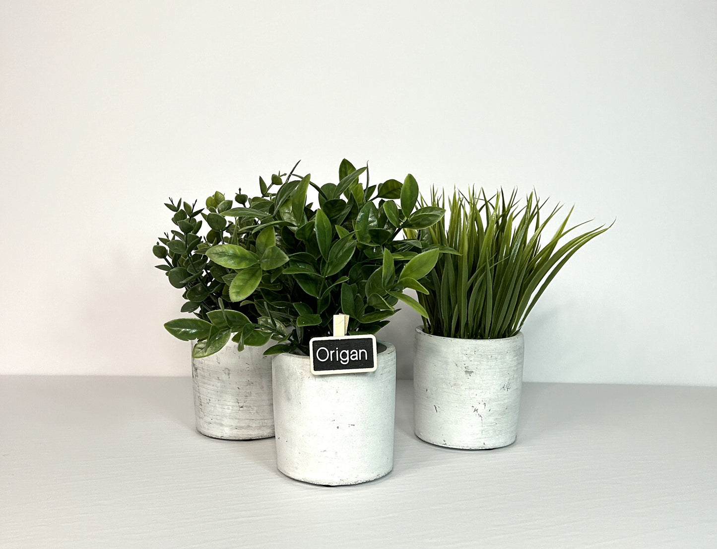 Ardoises à pince pour les fines herbes