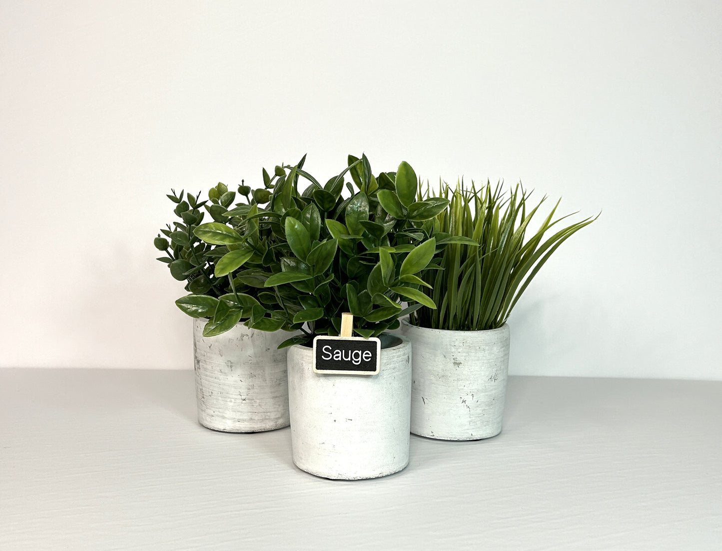 Ardoises à pince pour les fines herbes